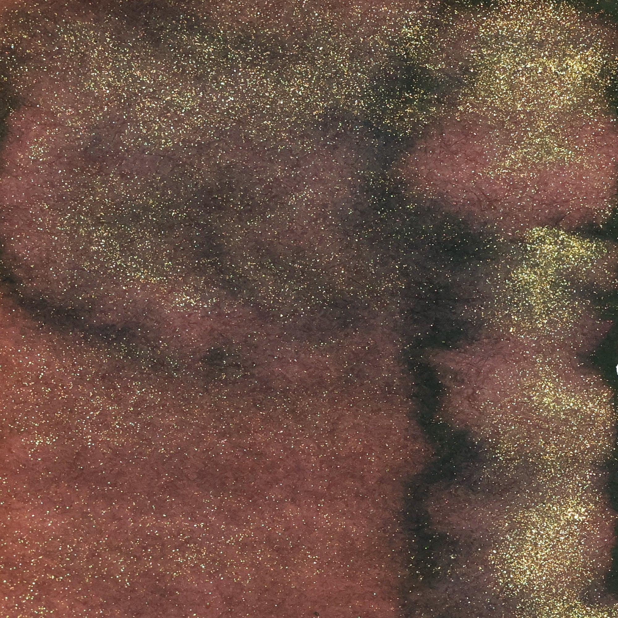 Smoke Bush Twinkle