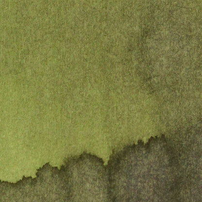 Rotten Seaweed